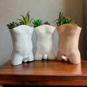 The Dad Bod Planter