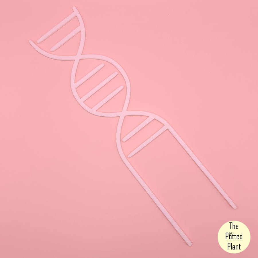 DNA/Double Hex Trellis