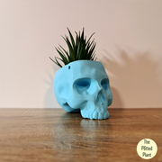 Skull Planter Hanging/Sitting